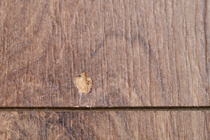 Woodpecker Hole Patching