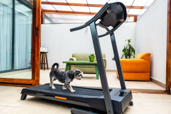 Treadmill Installation in Clearfield