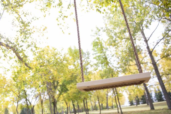 Tree Swing Installation in Clearfield