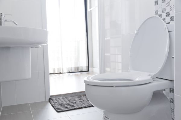Toilet Seat Installation in Clearfield