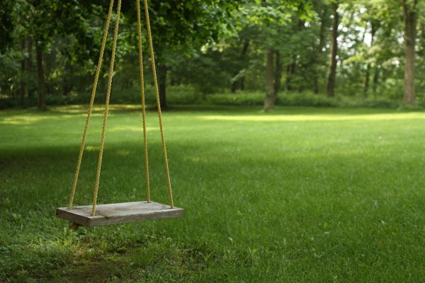 Rope Swing Installation in Clearfield