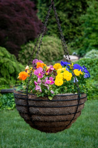 Hanging Basket Installation in Clearfield