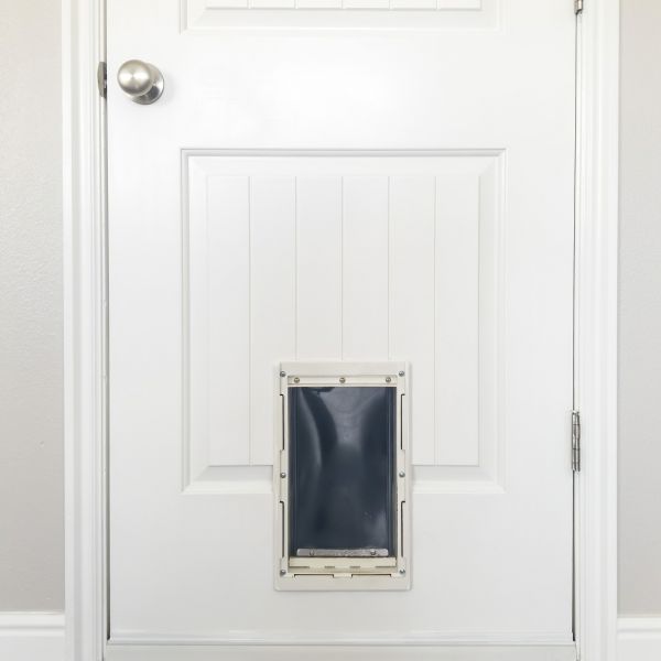 Pet Door Repair in Clearfield