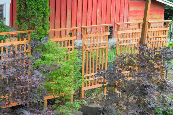 Wood Trellis Mounting in Clearfield