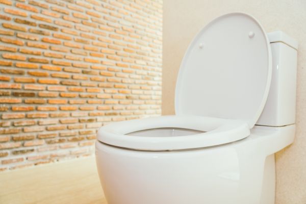 Toilet Seat Repair in Clearfield